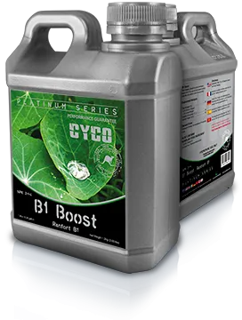 Cyco B1 Boost