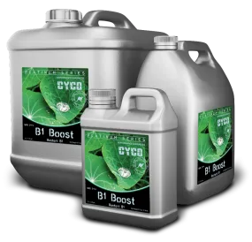 Cyco B1 Boost