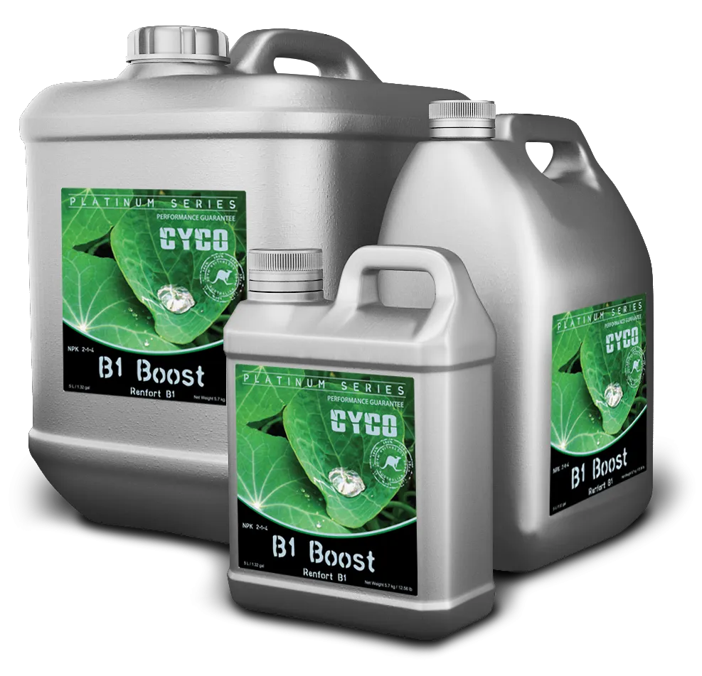 Cyco B1 Boost