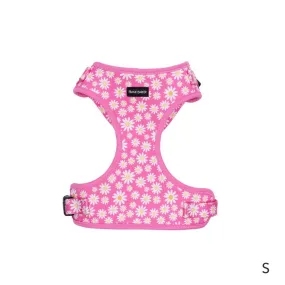 Frank Barker Pink Daisies Harness S