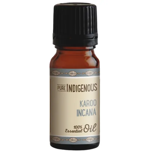 Karoo Incana Essential Oil | Pure Indigenous