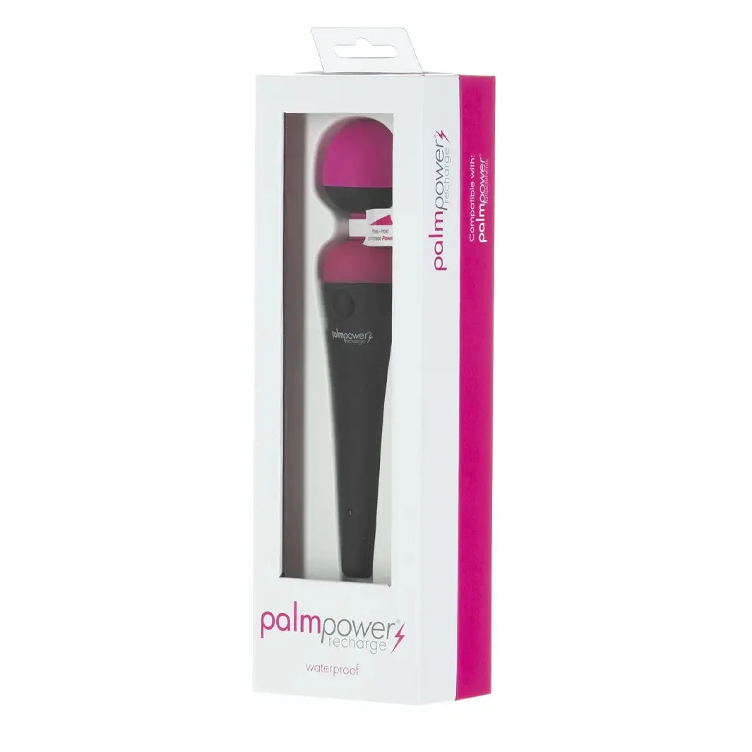 Palm Power - Rechargeable Massage Wand