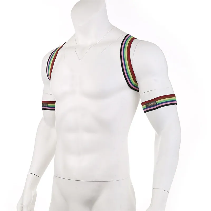 Rainbow Strap Harness